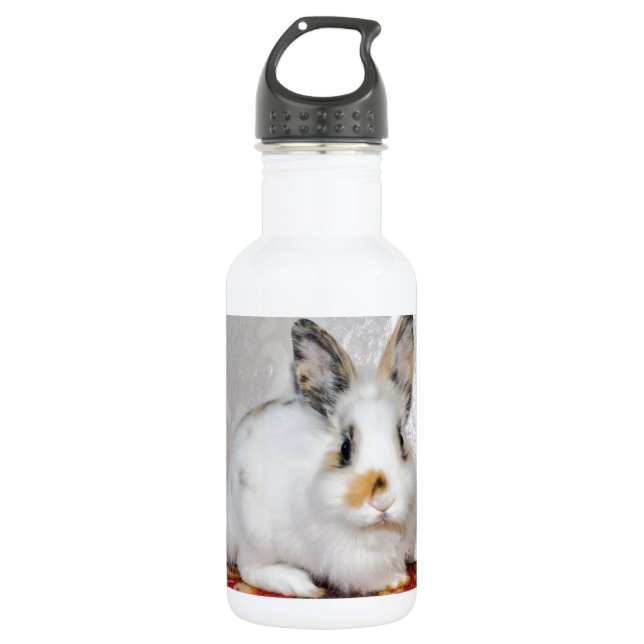 Osterhase Edelstahlflasche (Vorderseite)