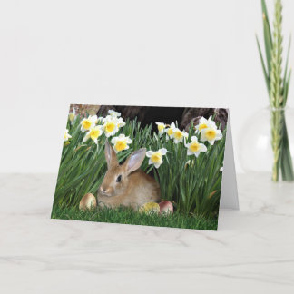 Osterhase Feiertagskarte