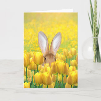 Osterhase Feiertagskarte