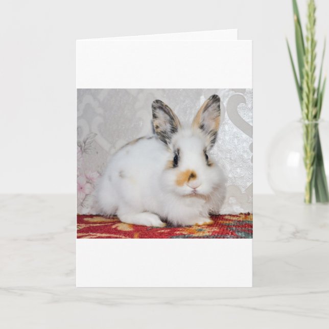 Osterhase Feiertagskarte (Vorderseite)