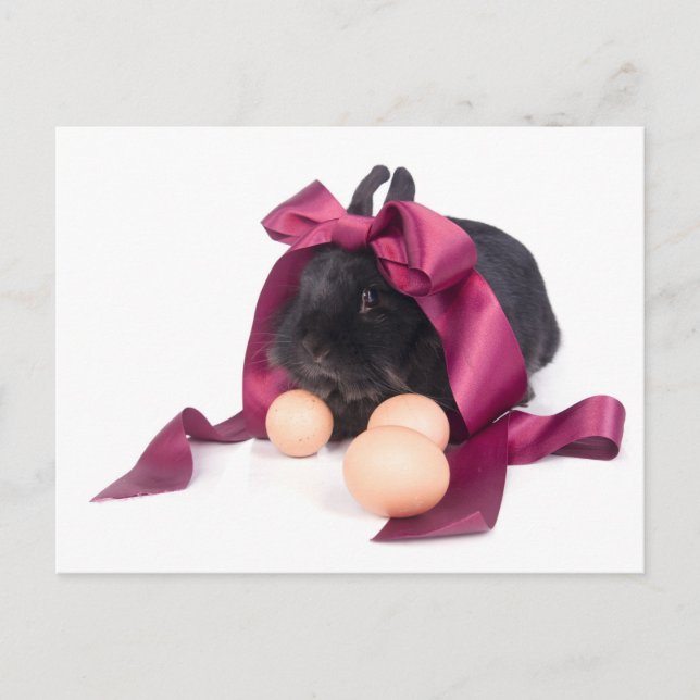 Osterhase Feiertagspostkarte (Vorderseite)
