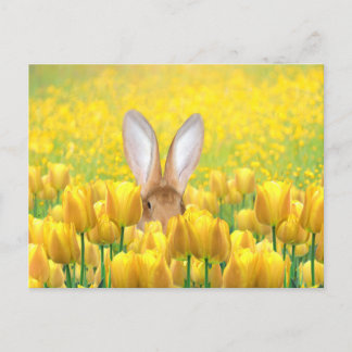 Osterhase Feiertagspostkarte