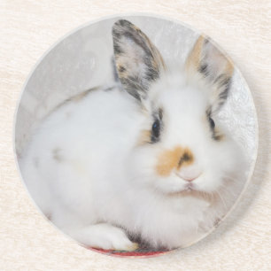 Osterhase Getränkeuntersetzer