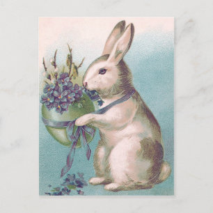 Osterhase hält farbiges Ei Feiertagspostkarte