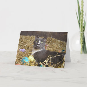 Osterhase in Tarnung Karte