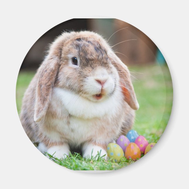 Osterhase Magnet (Vorne)
