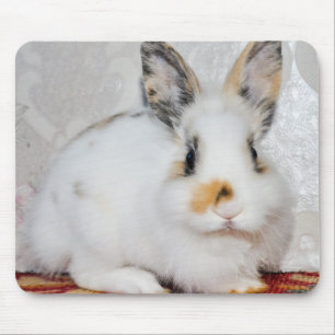 Osterhase Mousepad