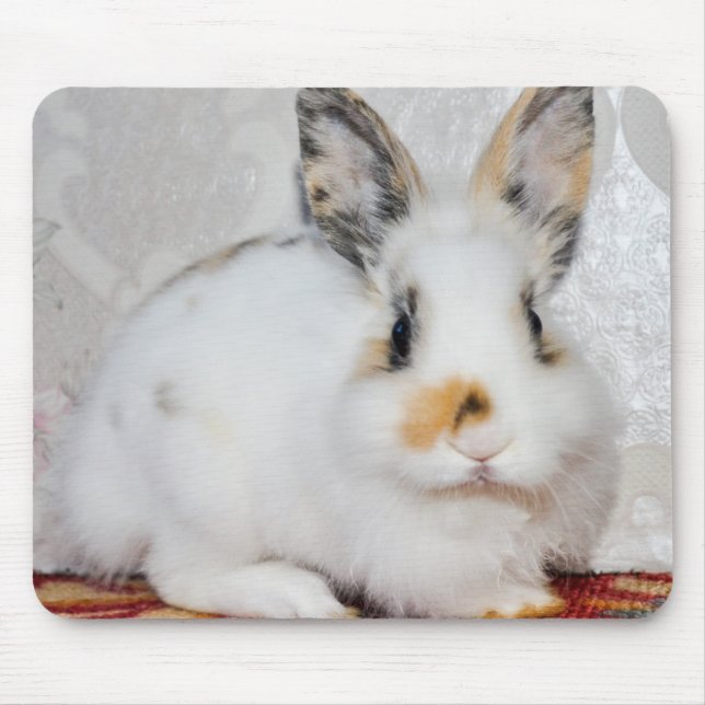Osterhase Mousepad (Vorne)