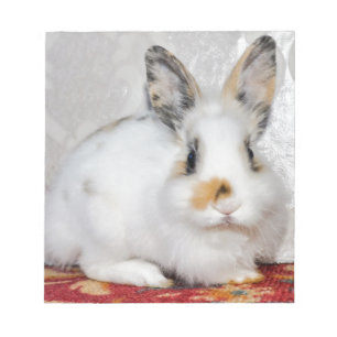 Osterhase Notizblock