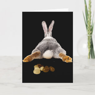Osterhase Po Tail Lustige Kacke Jelly Beans T-Shir Karte