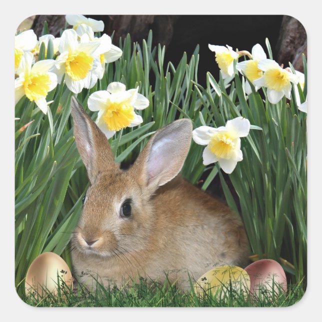 Osterhase Quadratischer Aufkleber (Vorderseite)