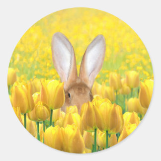 Osterhase Runder Aufkleber