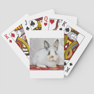 Osterhase Spielkarten