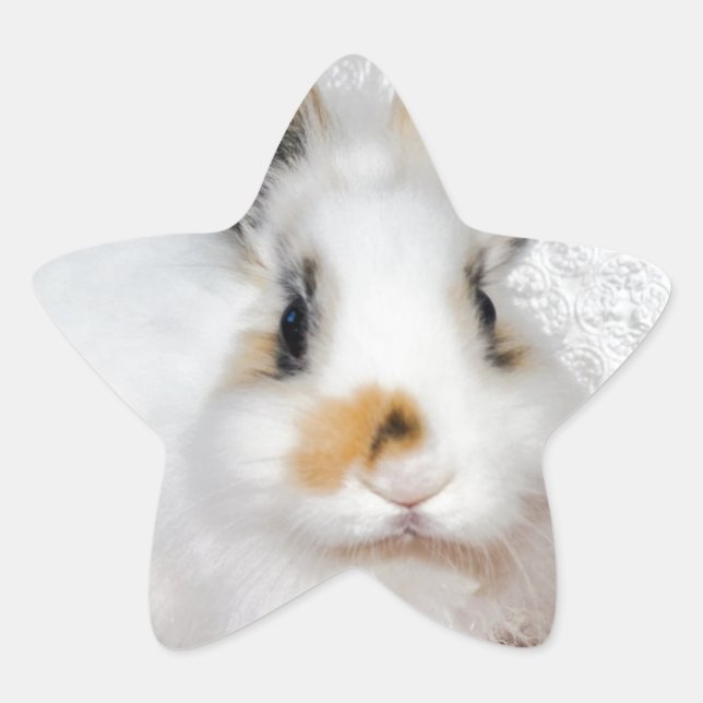 Osterhase Stern-Aufkleber (Vorderseite)