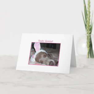 Osterhasen? Bah Humbug! Feiertagskarte