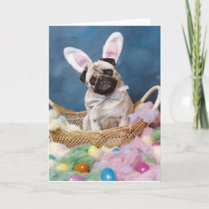 Osterhasen-Mops-Hundekorb Karte