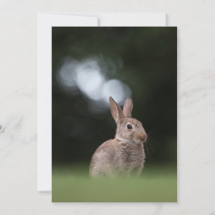 Osterhasen-Naturfotokarte Save The Date