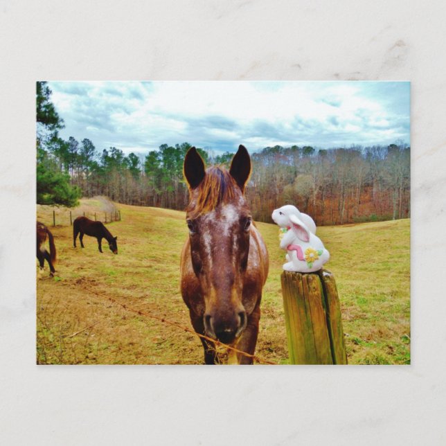 Osterhasen- und Brown-Pferd Feiertagspostkarte (Vorderseite)
