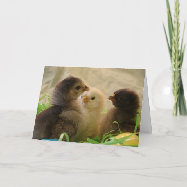 Osterhühner Feiertagskarte (Vorderseite)