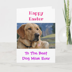 Osterhunde Mama Weltbestes Ever Pet Foto Karte