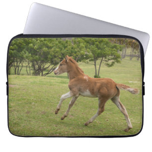 Osterinsel aka Rapa Nui Laptopschutzhülle