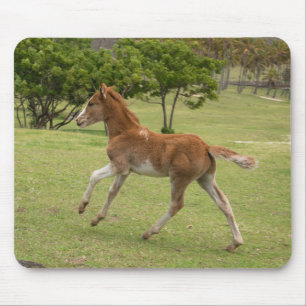 Osterinsel aka Rapa Nui Mousepad