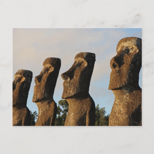 Osterinsel-Kopfstatuen Postkarte (Vorderseite)