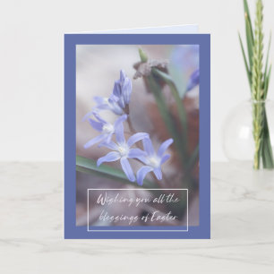 Osterkarte - Chionodoxa Feiertagskarte