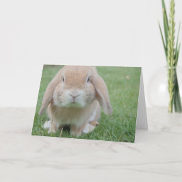 Osterkarte Dankeskarte