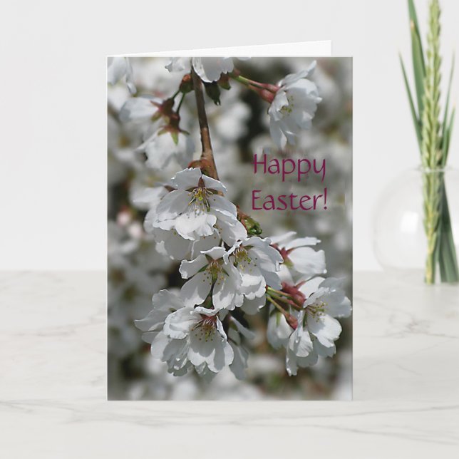 Osterkarte für Kirschblüten Feiertagskarte (Vorderseite)