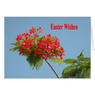 Osterkarte mit Royal Poinciana Blume