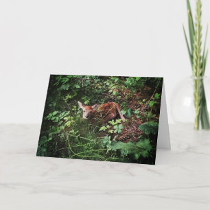 Osterkarte "Whitetail Woods Dez" Karte
