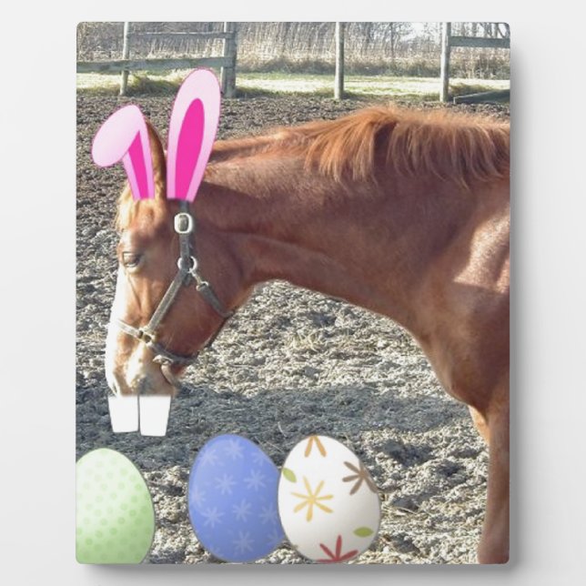 Osterkastanienpferd Fotoplatte (Vorderseite)