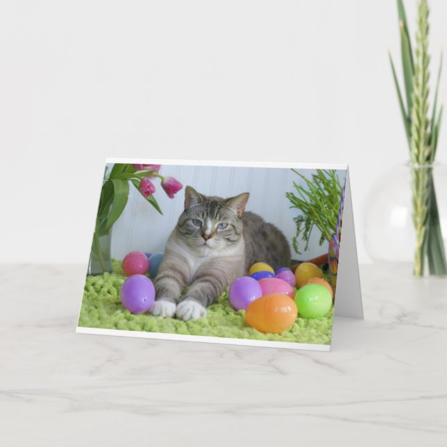 Osterkatze Feiertagskarte (Vorderseite)