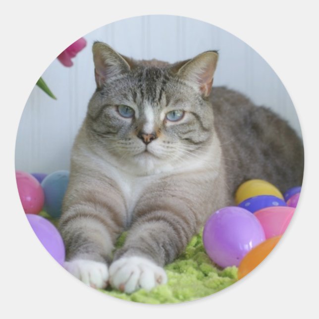 Osterkatze Runder Aufkleber (Vorderseite)