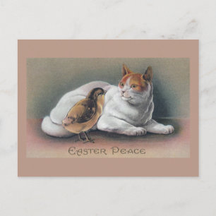 Osterkatze und Küken Feiertagspostkarte