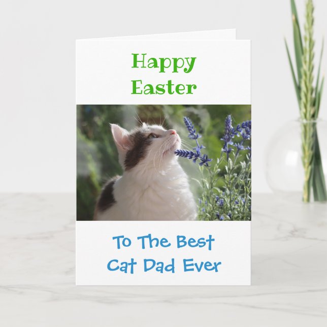 Osterkatze Vater Weltbestes Pet-Foto Karte (Vorderseite)