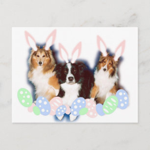 Osterkatzen Feiertagspostkarte