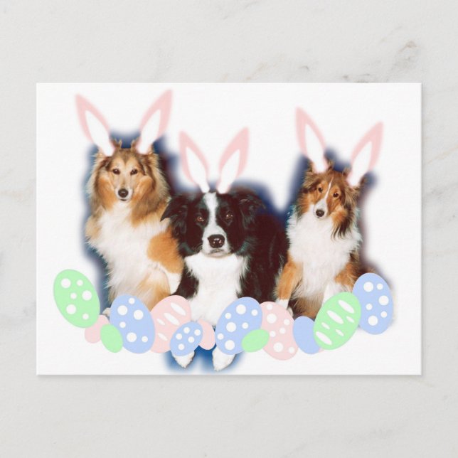 Osterkatzen Feiertagspostkarte (Vorderseite)