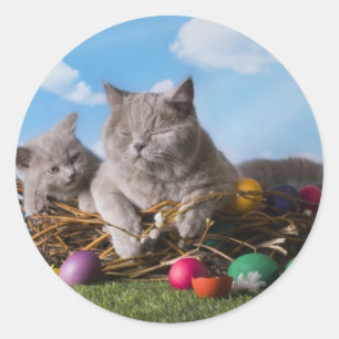 Osterkatzen Runder Aufkleber