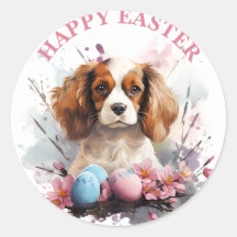 Osterkavalier King Charles Eggs und Blume -