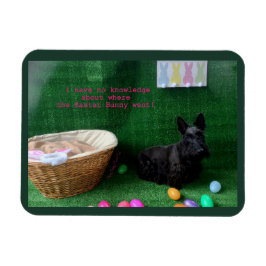 Osterkenntnis Magnet