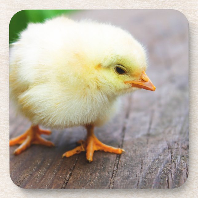 Osterkeule Getränkeuntersetzer (Vorderseite)