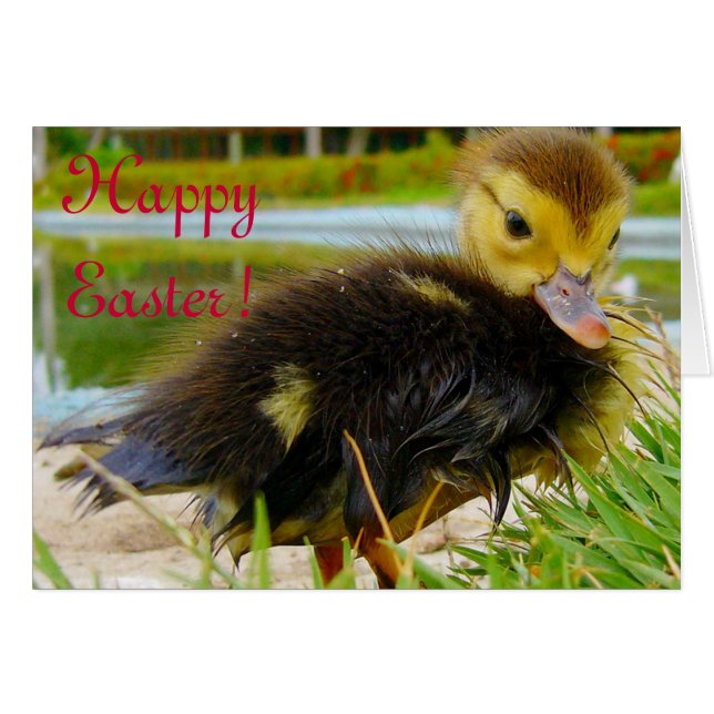 Osterkeule IV (Vorderseite (Horizontal))