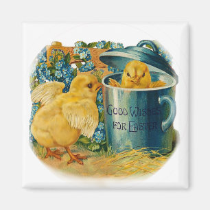 Osterküken im Spiel Magnet