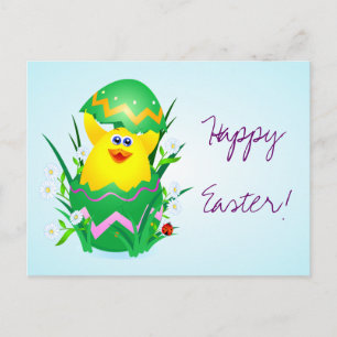 Osterküken, Postkarte