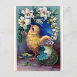 Osterküken und Blume Vintag Postkarte