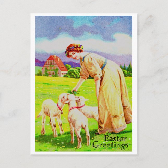 Osterlämmer Postkarte (Vorderseite)
