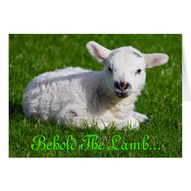 Osterleben im Lamm III (Vorderseite (Horizontal))