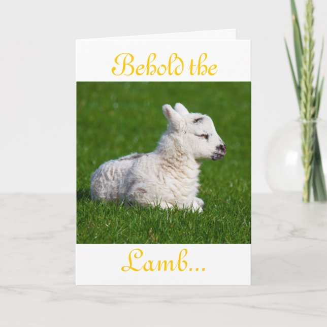 Osterleben: Lamb-II-Urlaubskarte Feiertagskarte (Vorderseite)